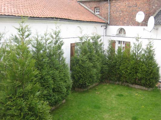 Terrasse03